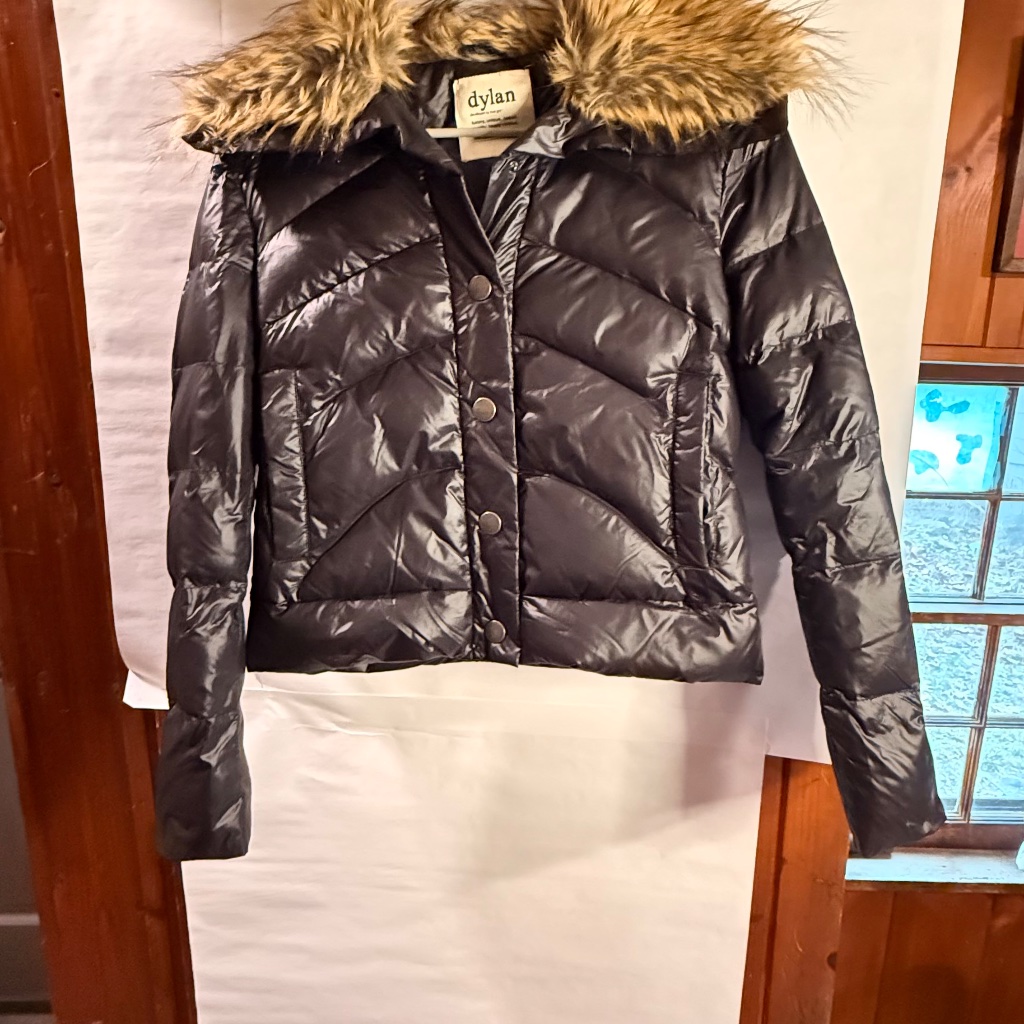 Dylan Black Cropped Puffer Jacket With Faux Fur Hood